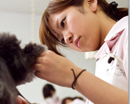 九州スクールオブビジネス